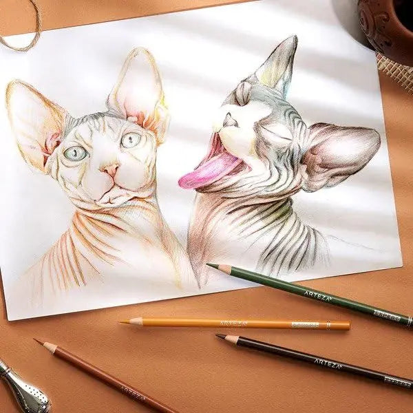 Arteza Coloured Pencils Expert Assorted Colours Set Arteza